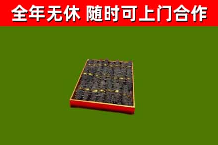 徐汇回收海参